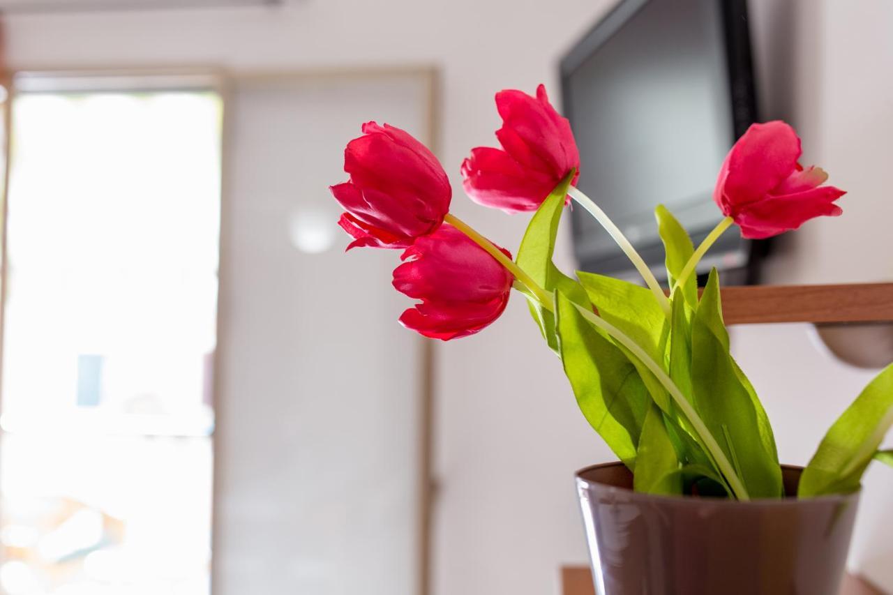 Вилла Homidoo Happiness Марина-ди-Рагуза Экстерьер фото